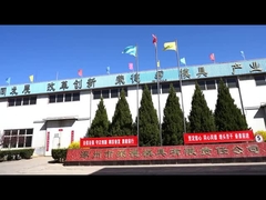 Empresa de moldagem de borracha de silicone personalizada para tolerância de precisão de 0,01 mm